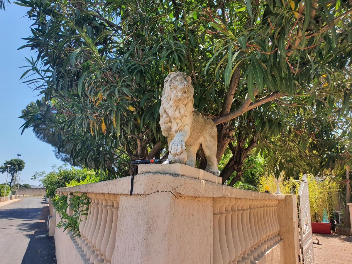 Villa Les Palmiers -Stretta Di I Mandarini Lucciana  Kültér fotó