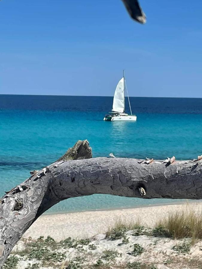 Villa Les Palmiers -Stretta Di I Mandarini Lucciana  Kültér fotó