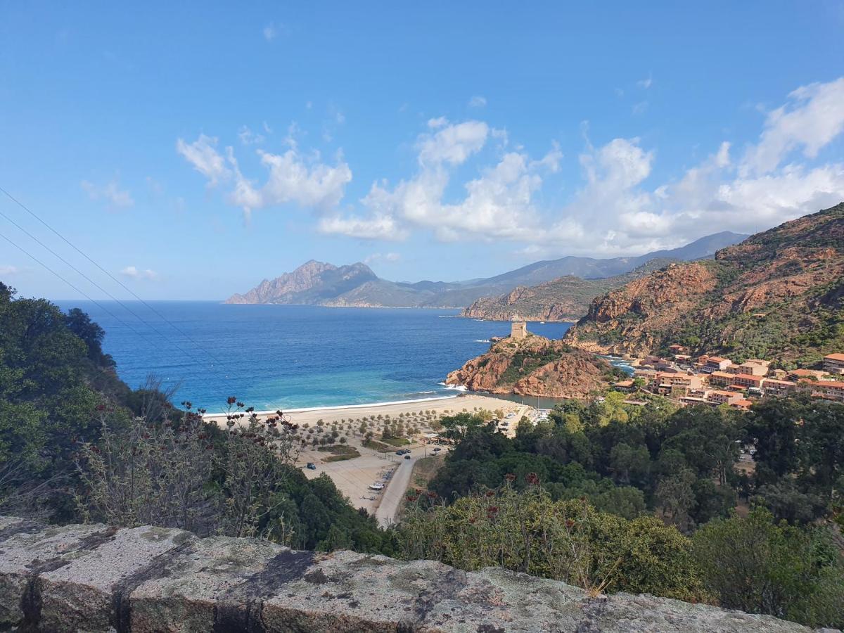 Villa Les Palmiers -Stretta Di I Mandarini Lucciana  Kültér fotó