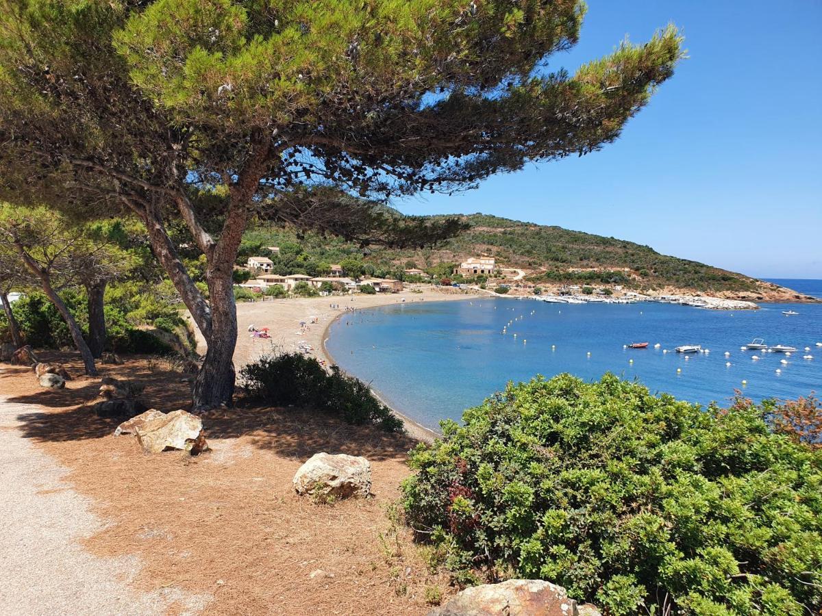 Villa Les Palmiers -Stretta Di I Mandarini Lucciana  Kültér fotó
